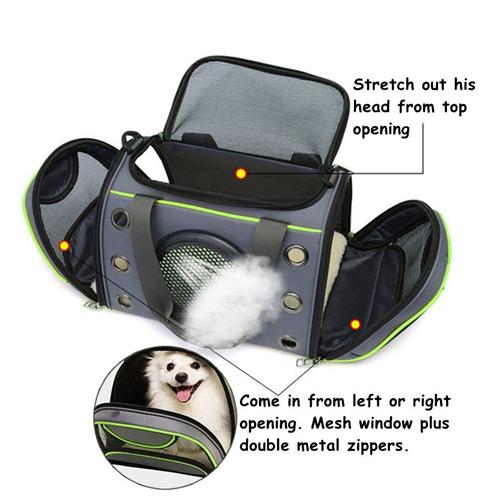 Space Capsule Pet Travel Carrier Handbag Pawrful