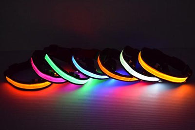 Pet Night Safety LED Collar ( Available in 8 Colors)