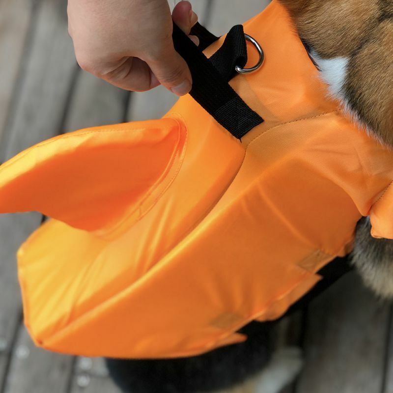 shark life vest for dogs