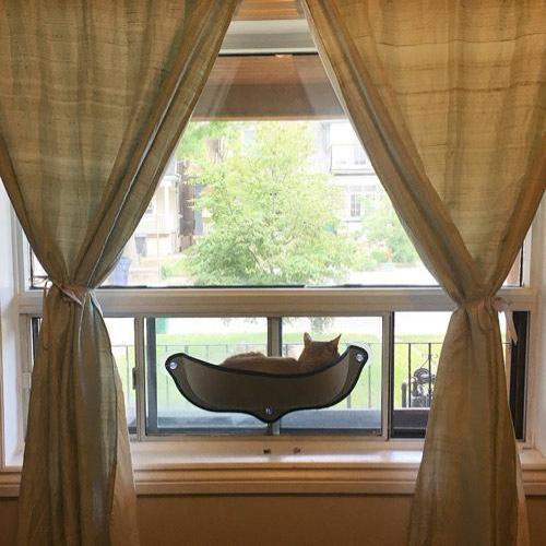 Ultimate Sunbathing Cat Window Mounted Hammock Bed