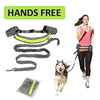 Hands Free Dog Training Leash