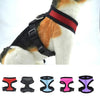 Anti-Choke Soft & Breathable Dog Harness Vest