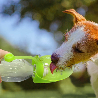 Portable Leaf Dog Water Bottle