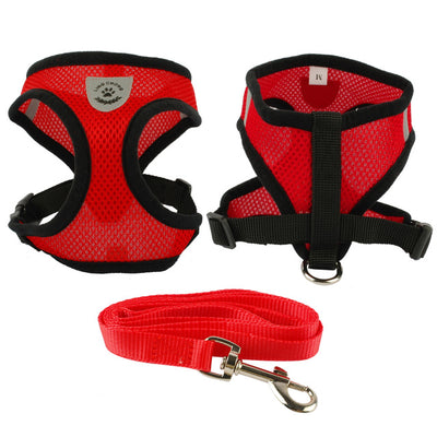 Breathable Harness For Small Dog with Free Leash